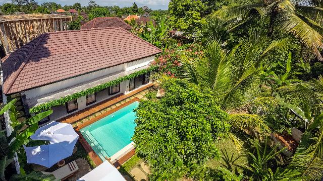 A bird's-eye view of the beautiful garden that surrounds the villa and the crystal water of the swimming pool.