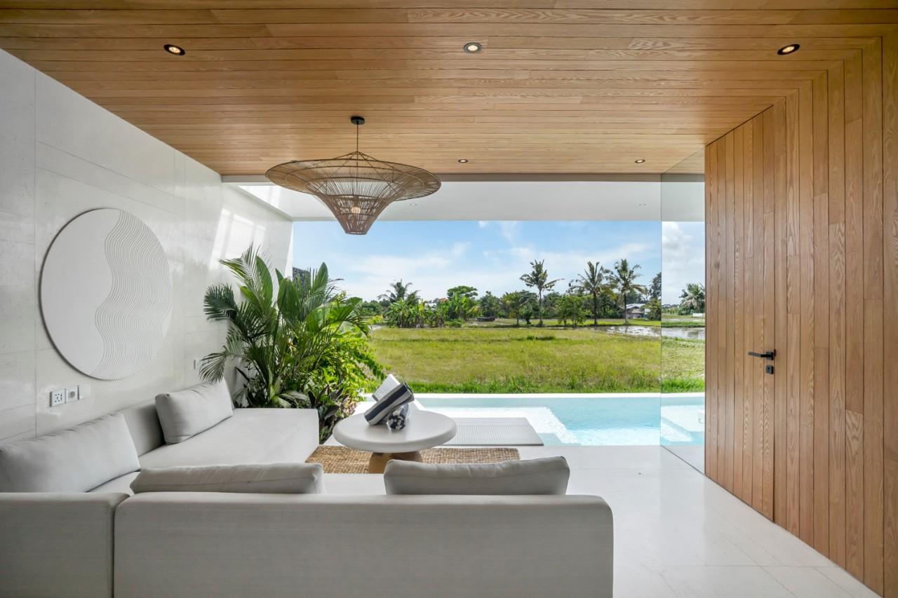 Living room,Seating area,View